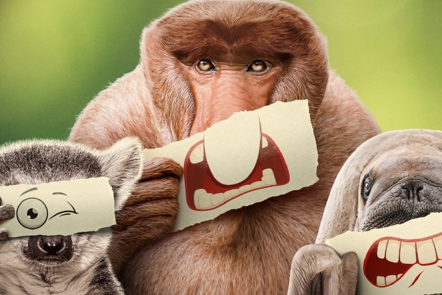 natures-weirdos-take-center-stage