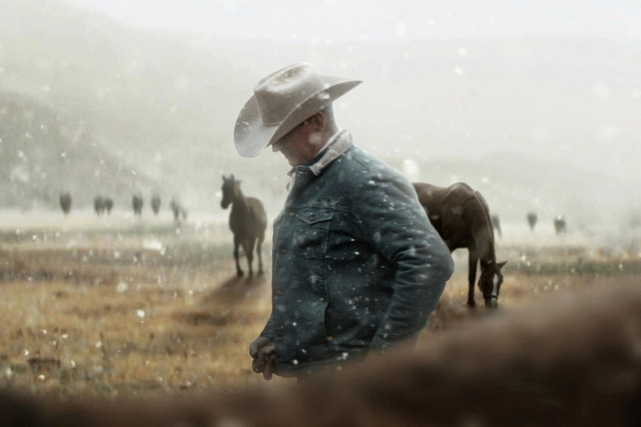 my-heroes-were-cowboys