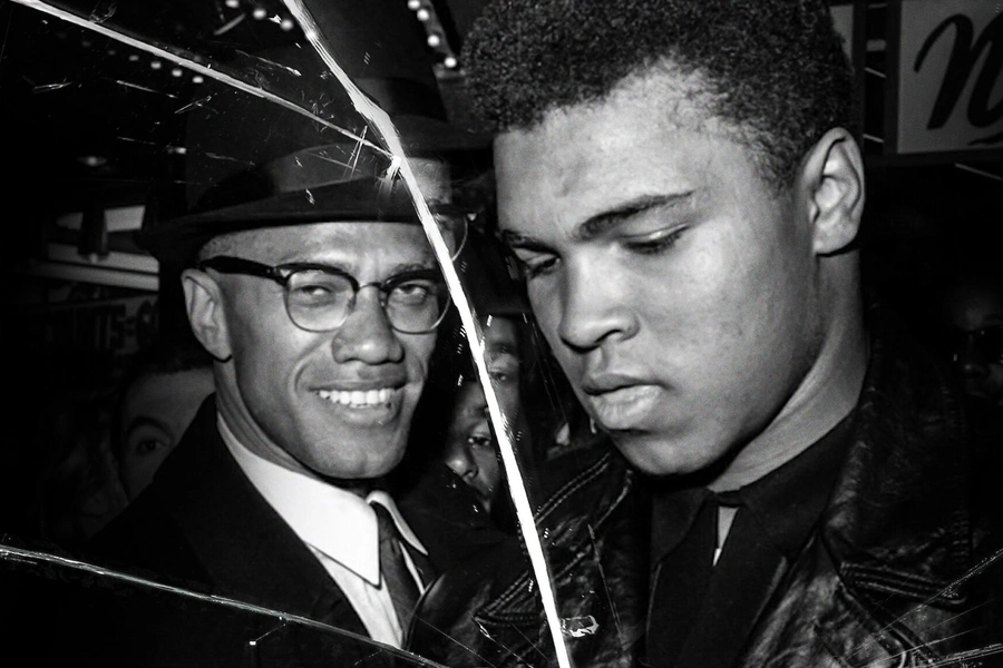 blood-brothers-malcolm-x--muhammad-ali