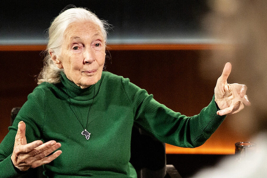 famouslastwords-drjanegoodall
