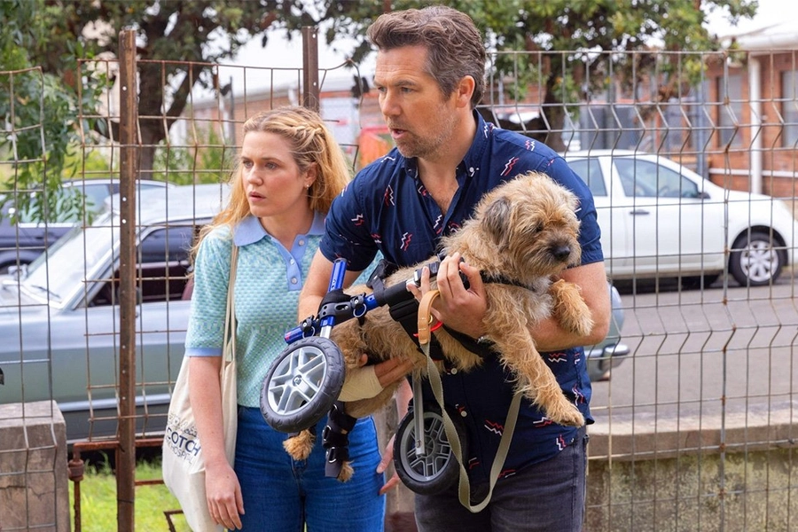 a-charming-rom-com-about-unexpected-love