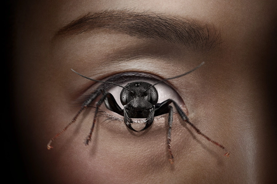control-freak-horror-streaming-now-hulu