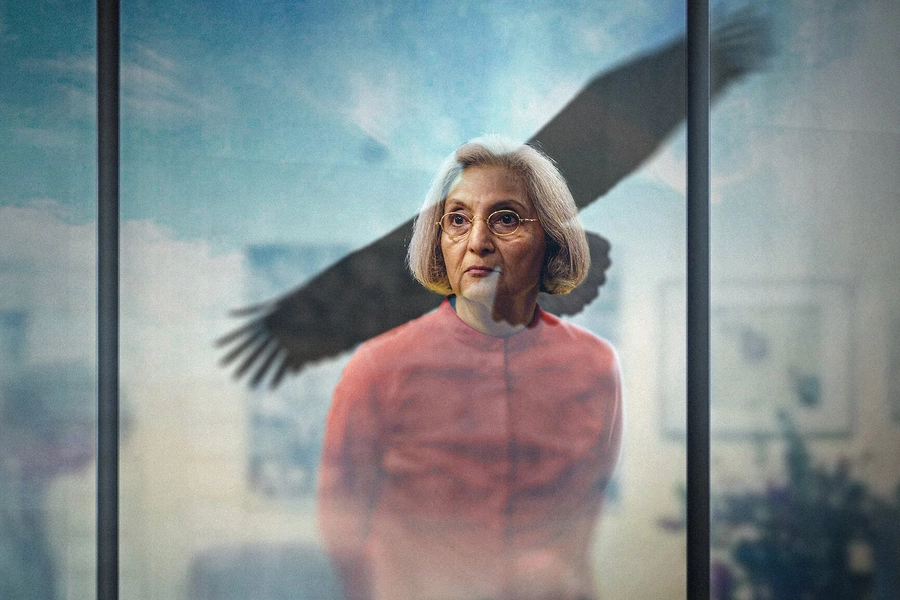 searching-for-sheela