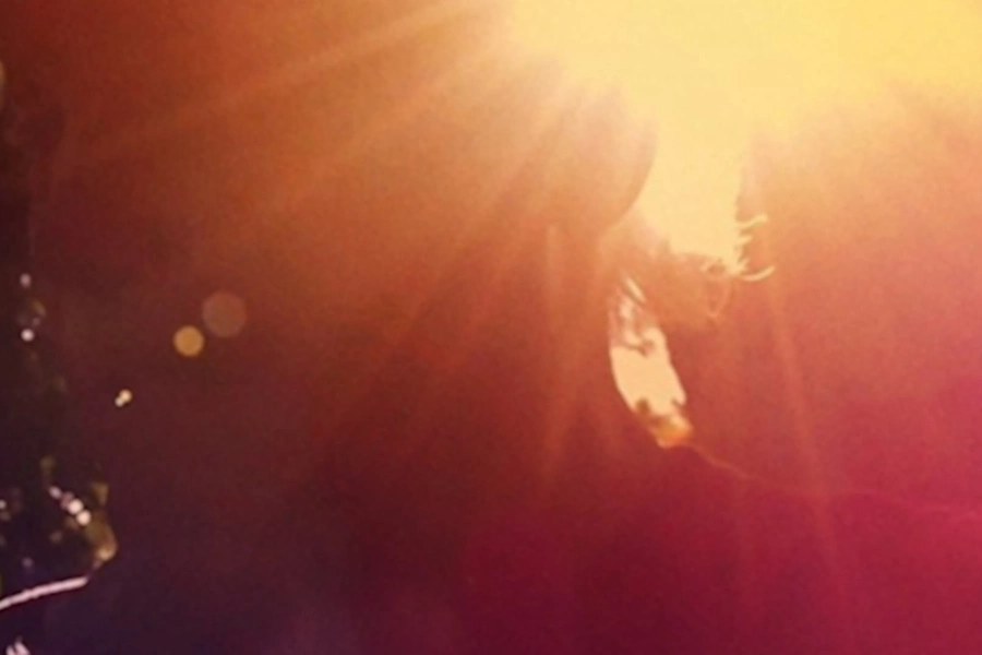 ram-dass-going-home