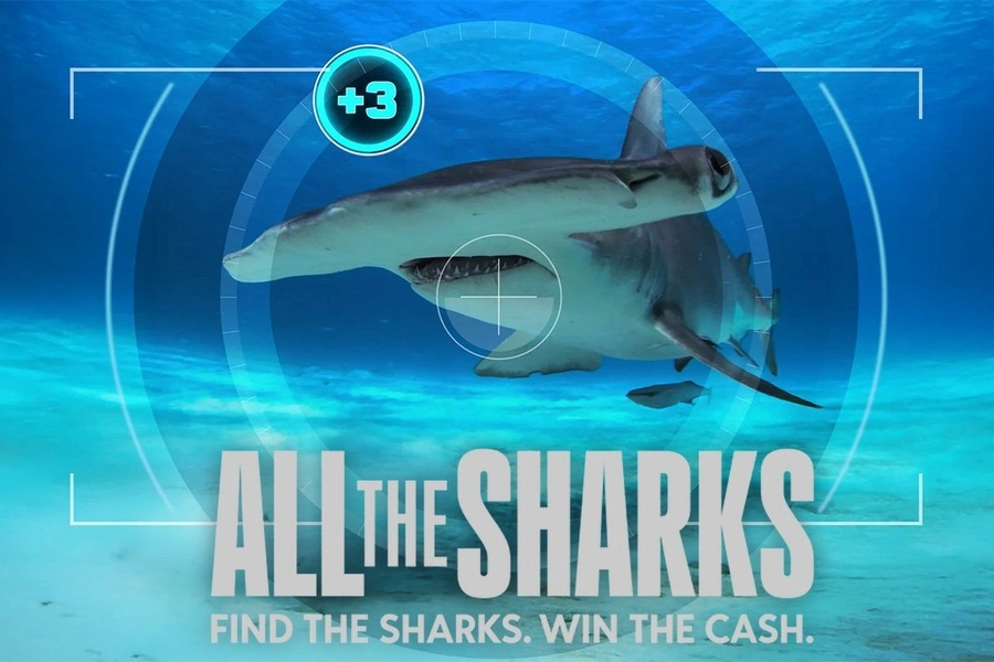 all-the-sharks-reality-streaming-now-on-netflix