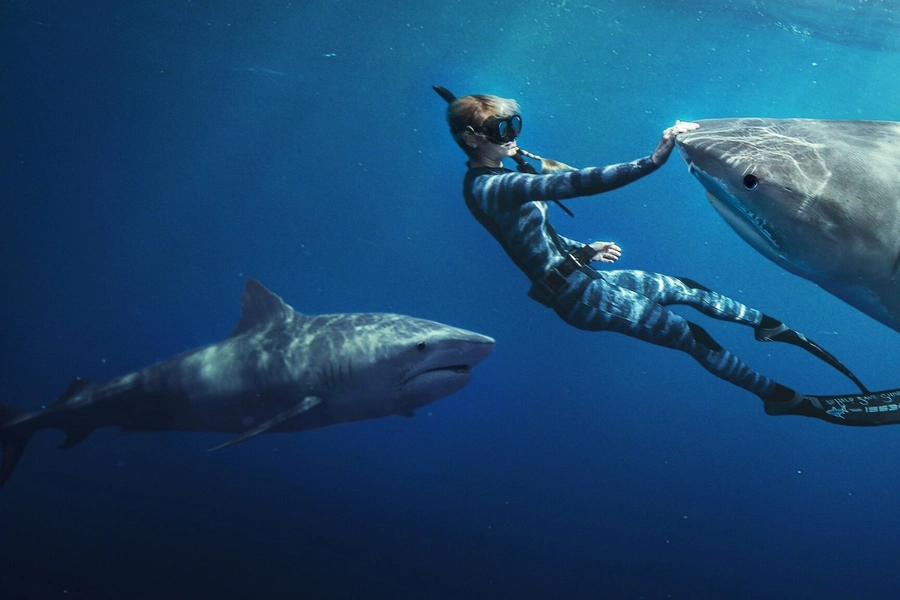 shark-whisperer-ocean-ramsey-streaming-on-netflix