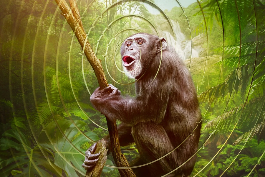 earthsounds-hear-the-planet-like-never-before