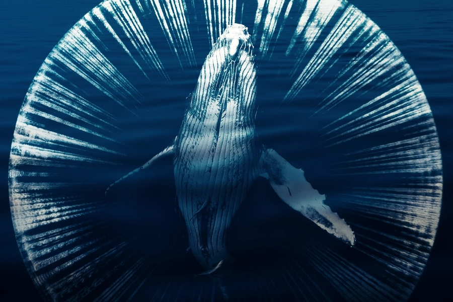 fathom-documentary-appletvplus