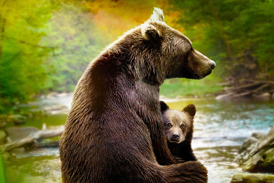 lifes-first-steps-natures-greatest-miracle