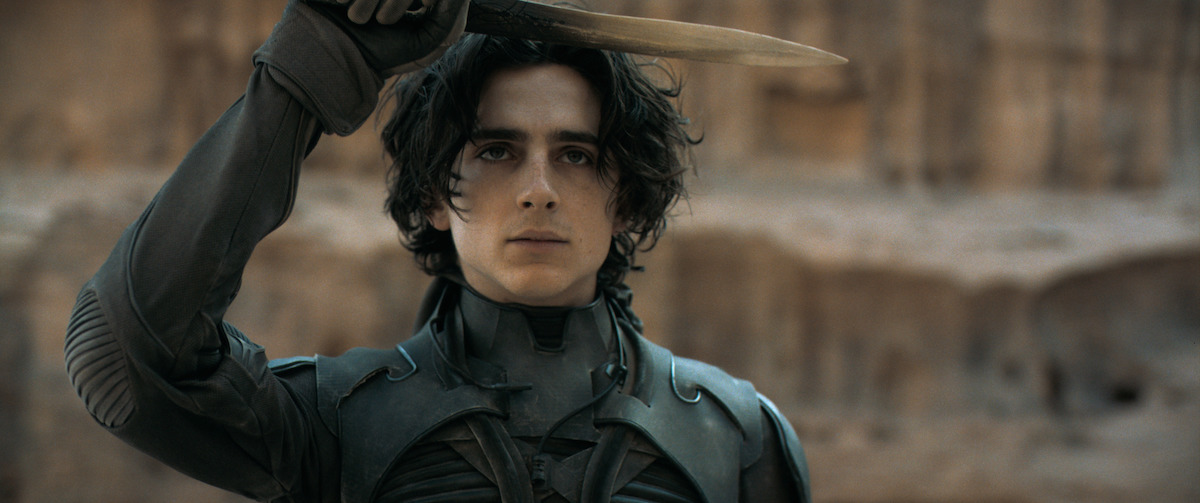 Timothée Chalamet of 'Dune,' a sci-fi movie streaming now on Max