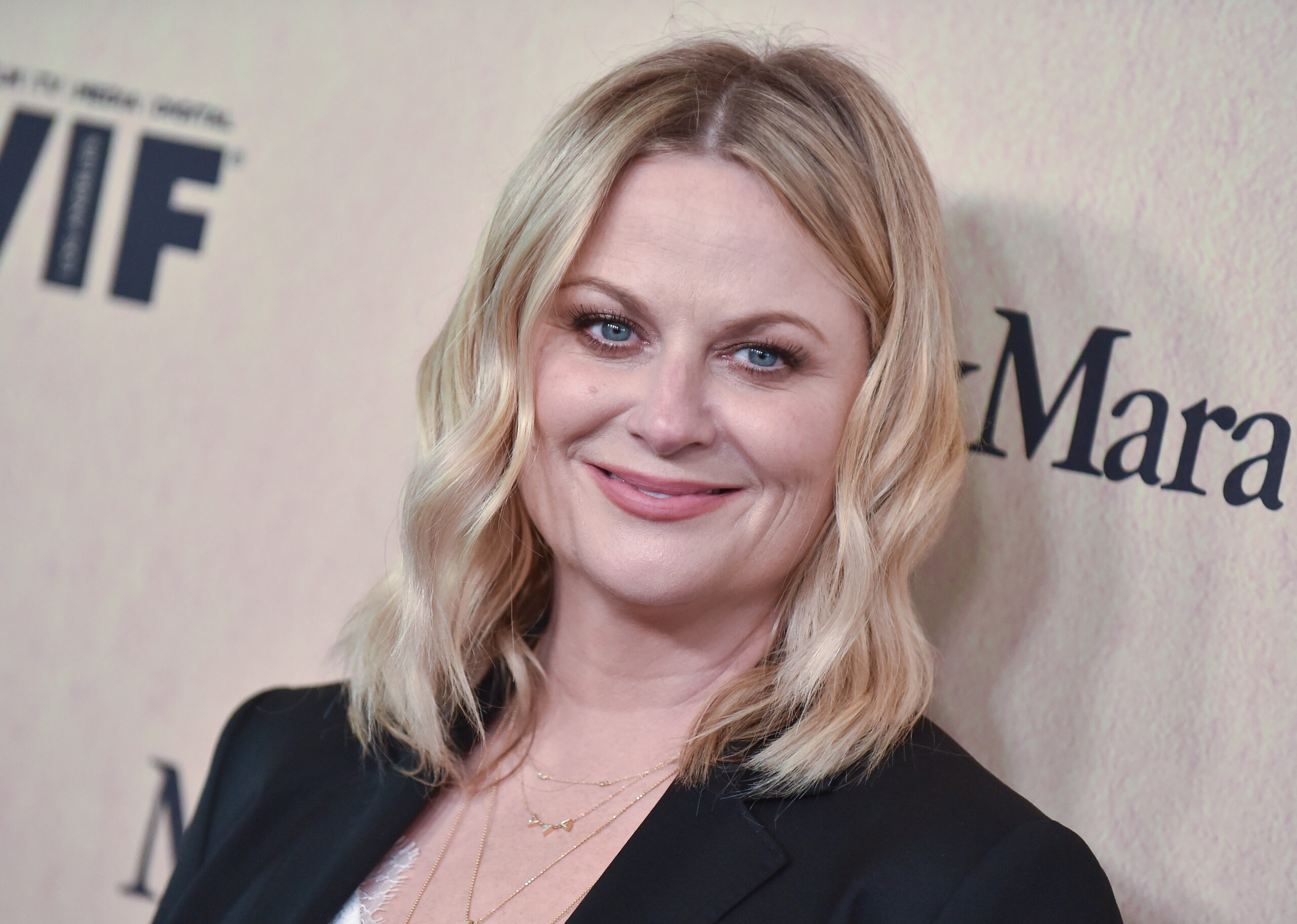 Amy Poehler, host of 'Say More with Dr? Sheila'